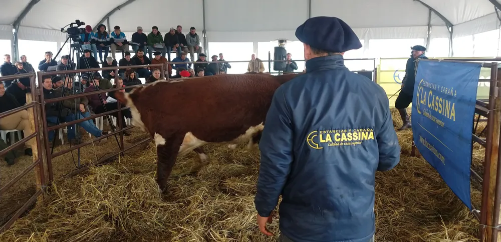 IMG_20230713_150836608