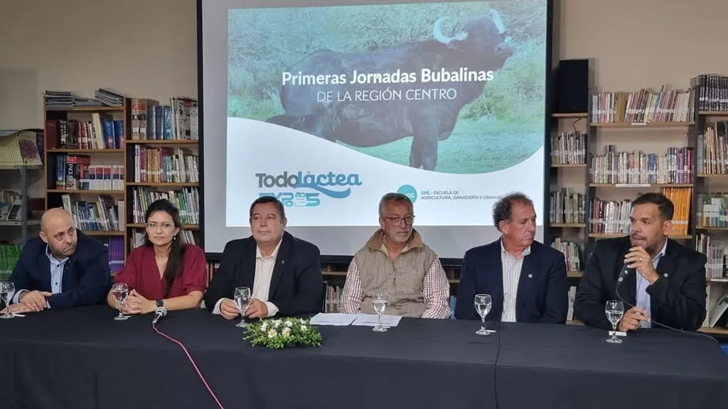 bubalinas-lanzamiento-1