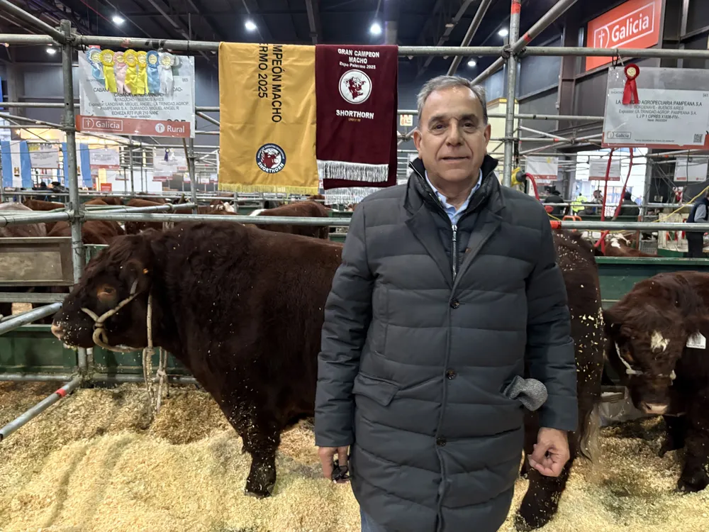 JAVIER PICCO - LA TRINIDAD - SHORTHORN
