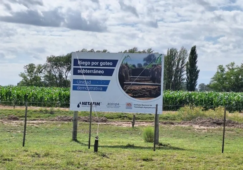 INTA Ascasubi goteo subterráneo