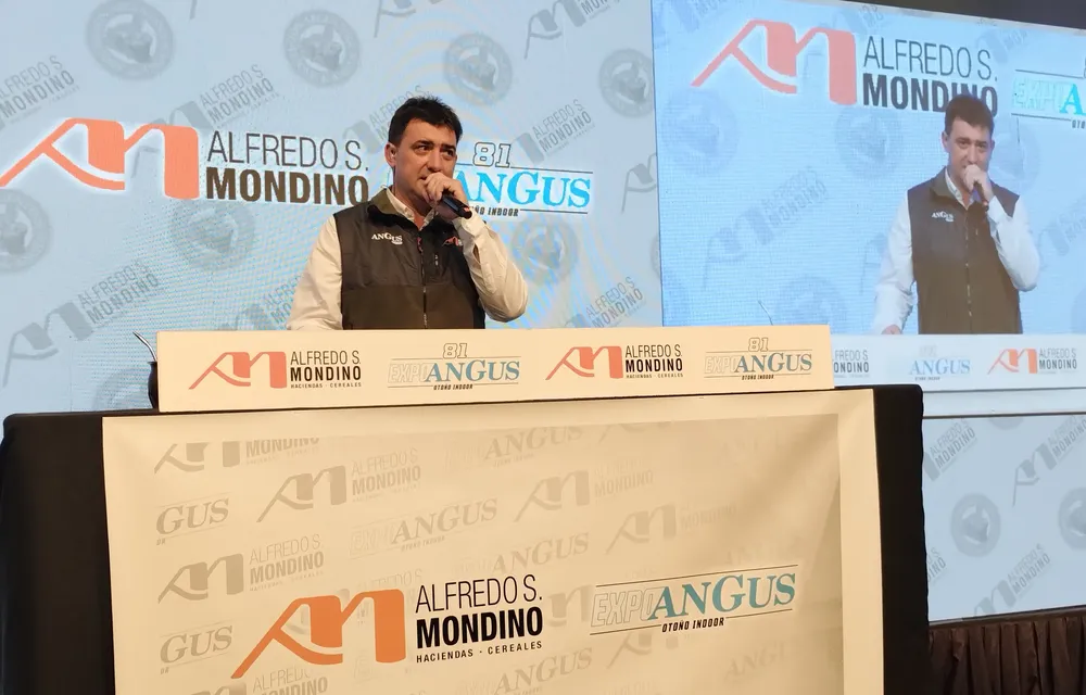 REMATE AS MONDINO