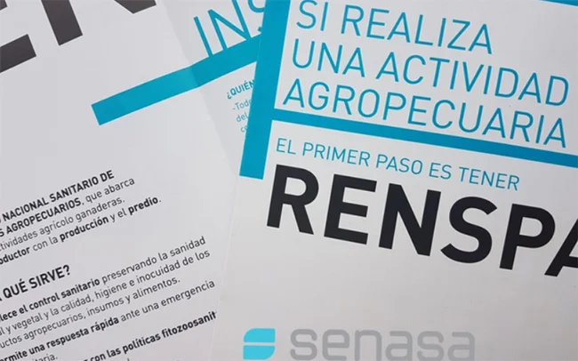 RENSPA-650x406-1