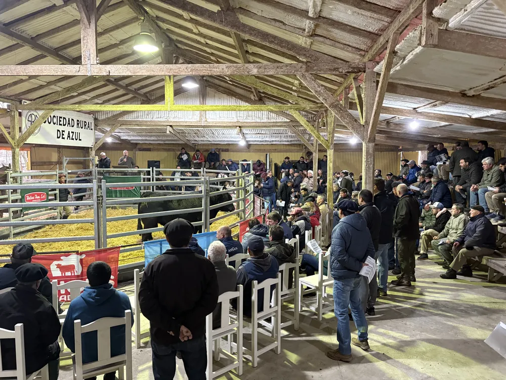 RAICES GANADERAS - SOC RURAL DE AZUL