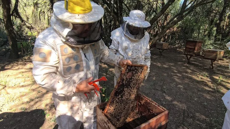 WhatsApp Image 2025-08-14 at 10.27.43 AM