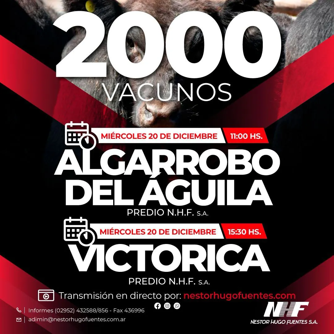 ALGARROBO 20