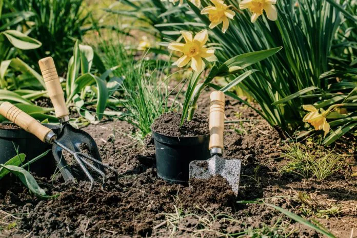 fertilizantes-696x464