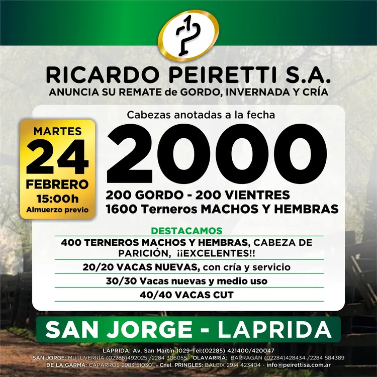 WhatsApp Image 2026-02-19 at 12.06.28 PM