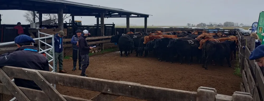 IMG_20240806_105132892_HDR