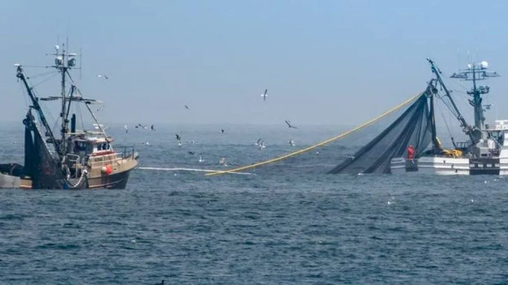 pesca