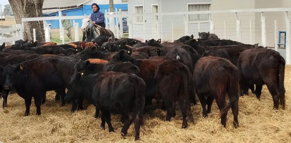 IMG_20240731_131149681_HDR