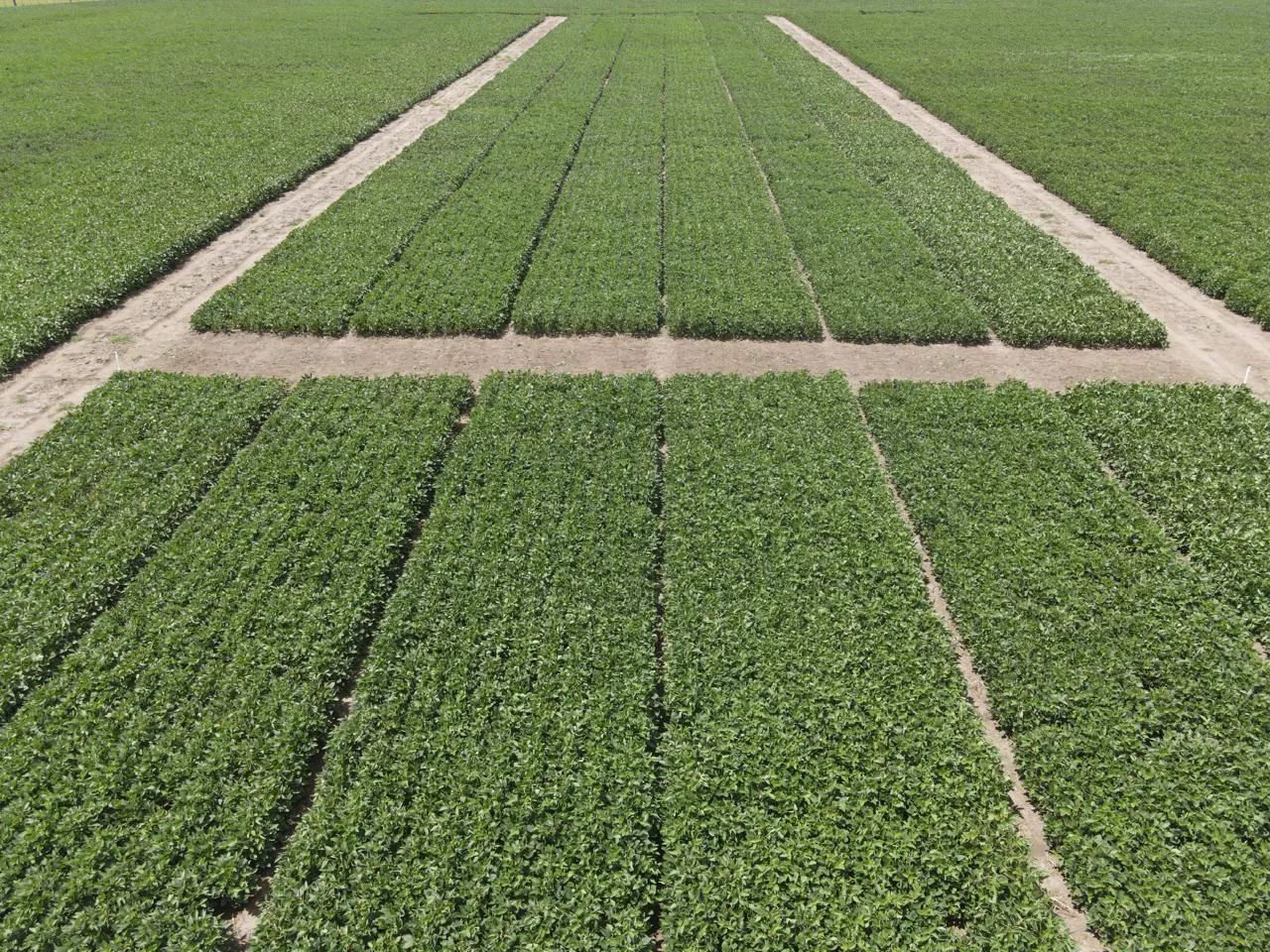 308f8068-11af-ded0-3779-2f0cf0b5e9e9