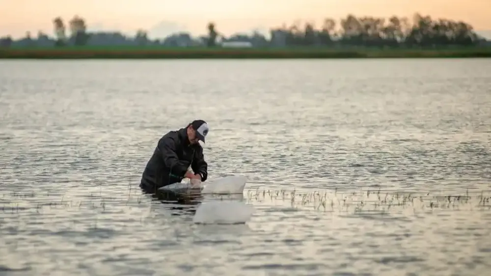 la-estacion-hidrobiologica-chascomus-es-clave-repoblar-las-lagunas-bonaerenses