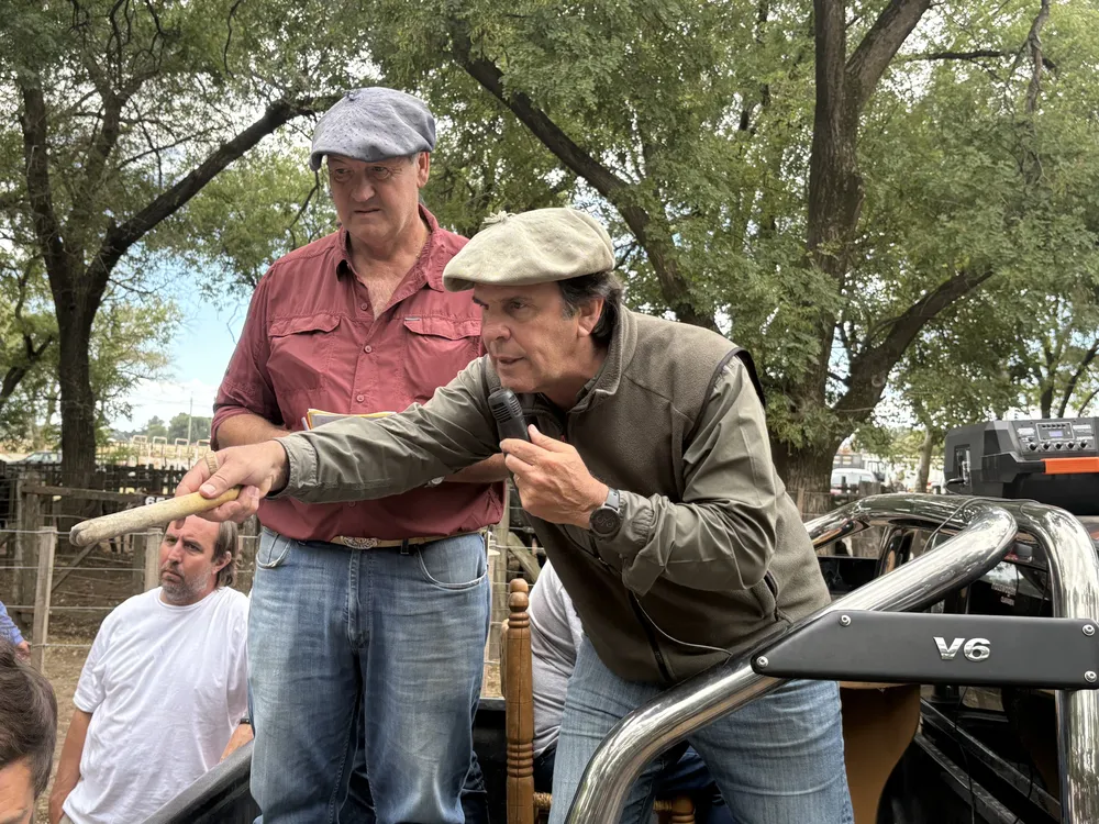 LARTIRIGOYEN Y OROMI Y SORSOLI - REMATE FEBRERO - RECALDE