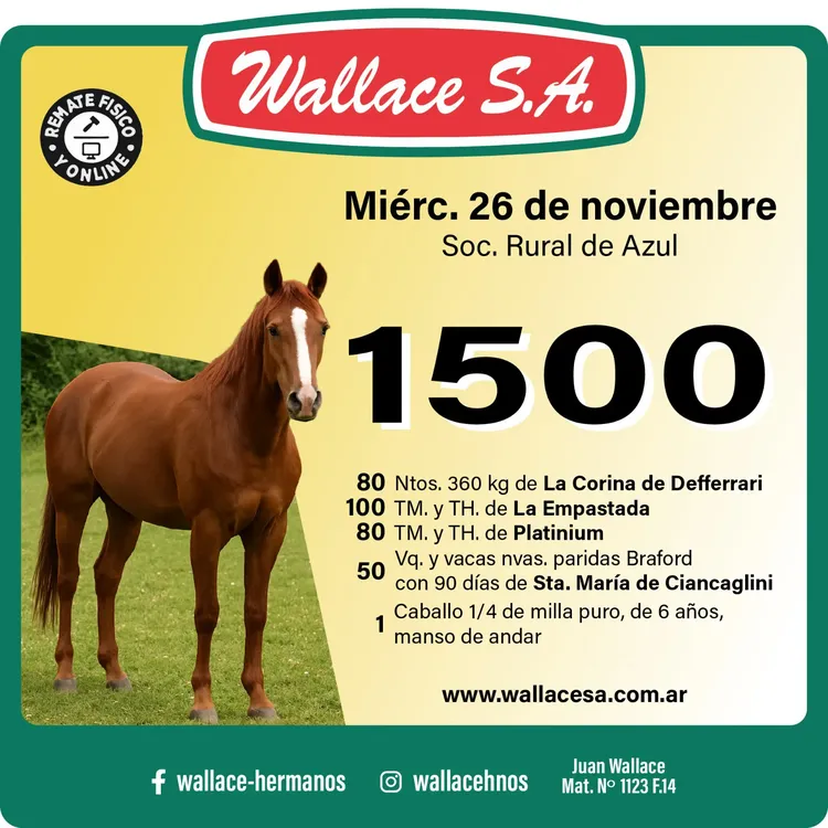 WhatsApp Image 2025-11-19 at 8.52.11 AM