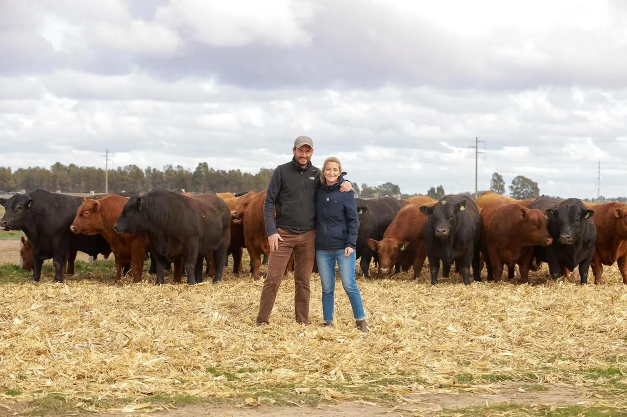 ganaderia-patagonia-norte-4jpeg