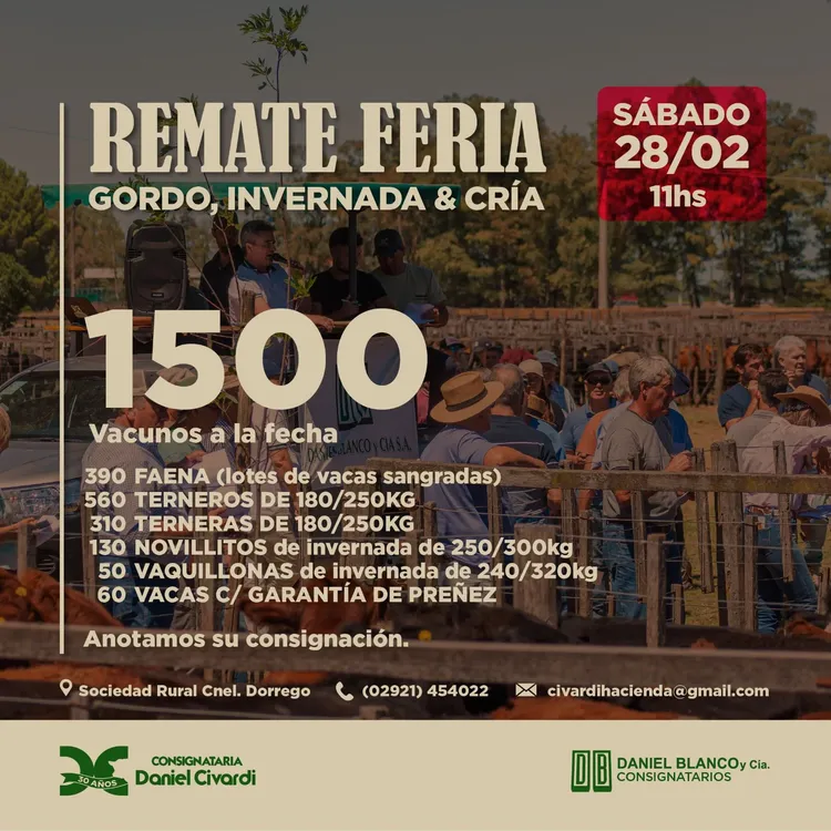 WhatsApp Image 2026-02-25 at 7.37.05 PM