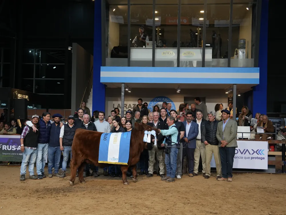 HEMBRA COLORADA GRAN CAMPEONA