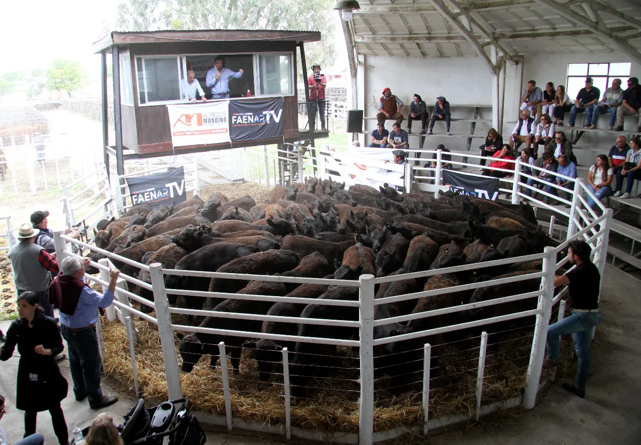 TRES ARROYOS RUSTICOS2