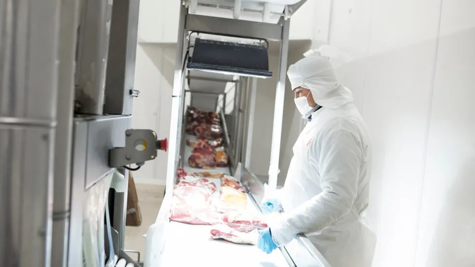 WhatsApp Image 2025-04-07 at 9.01.28 AM