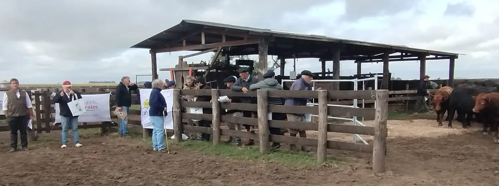 IMG_20240409_094818749