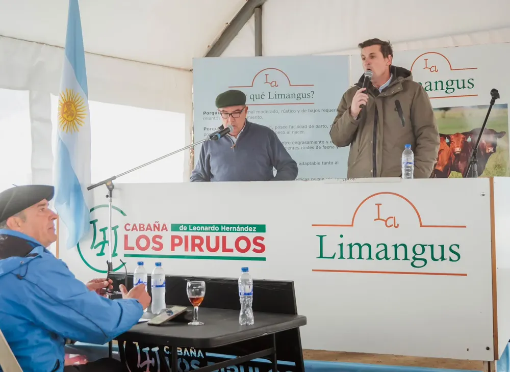 LOS PIRULOS3