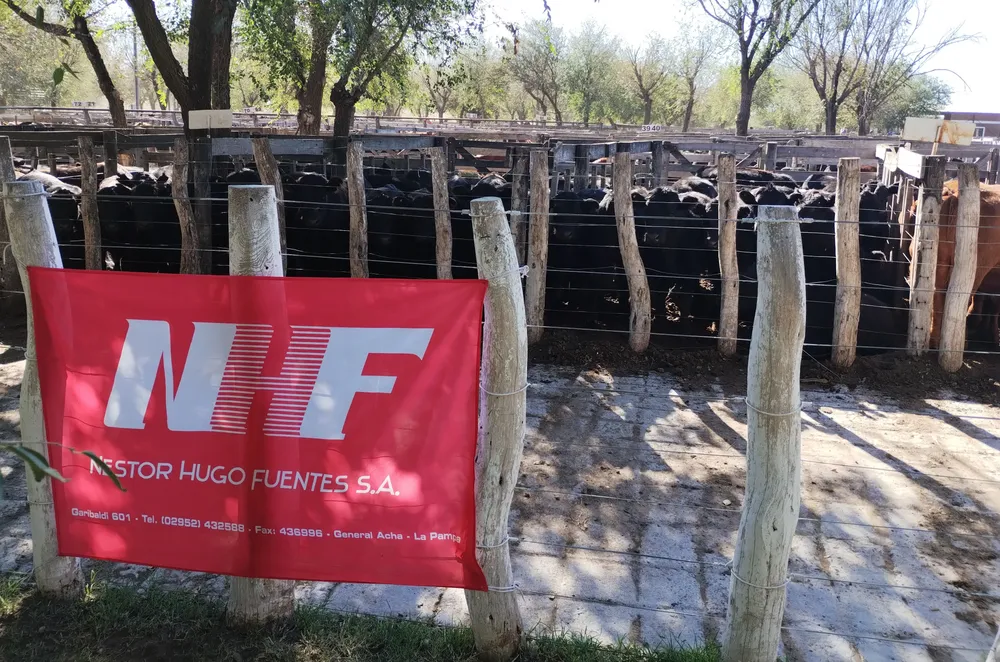 NHF2