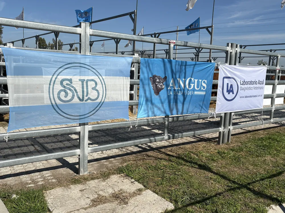 JUNTOS4