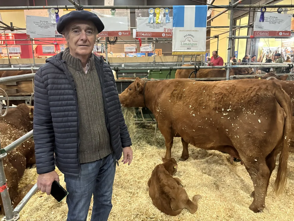 FERNANDO LUIS - LA ELISA - LIMANGUS