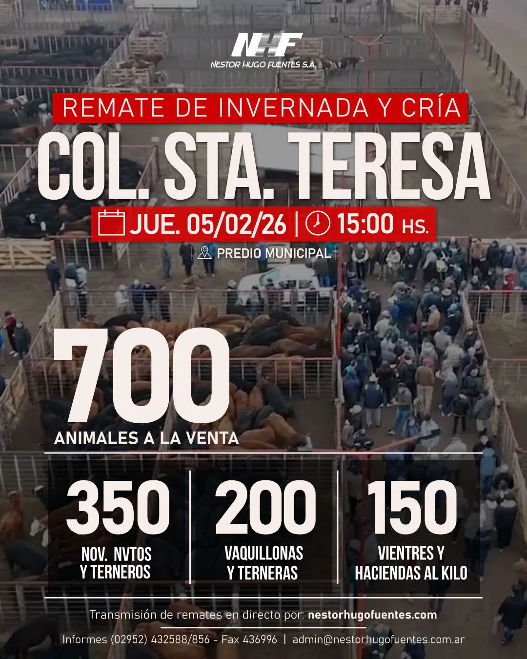 WhatsApp Image 2026-02-01 at 10.28.08 AM