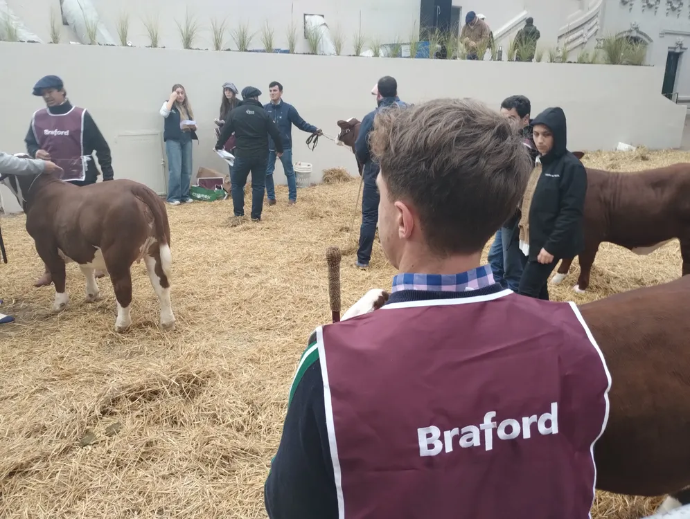 IMG_20240722_090030712