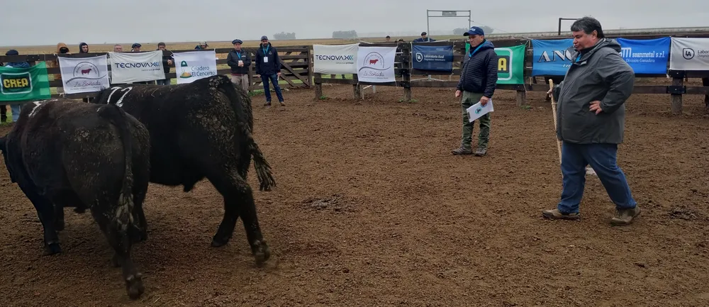 IMG_20240806_110823997_HDR