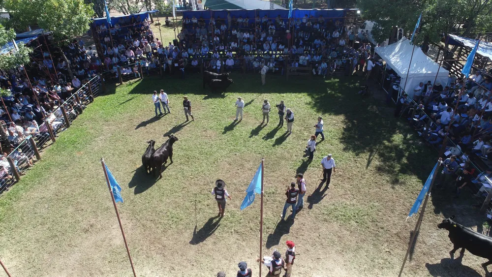 DJI_0004-1-scaled