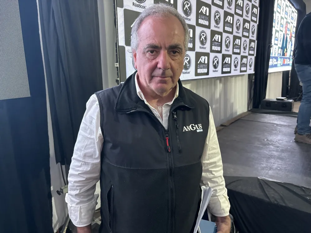 SERGIO AMUCHATEGUI - RUSTICOS