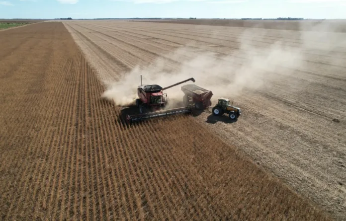 cosecha-2-696x445 (1)