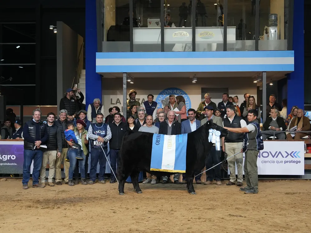 HEMBRA NEGRA GRAN CAMPEONA
