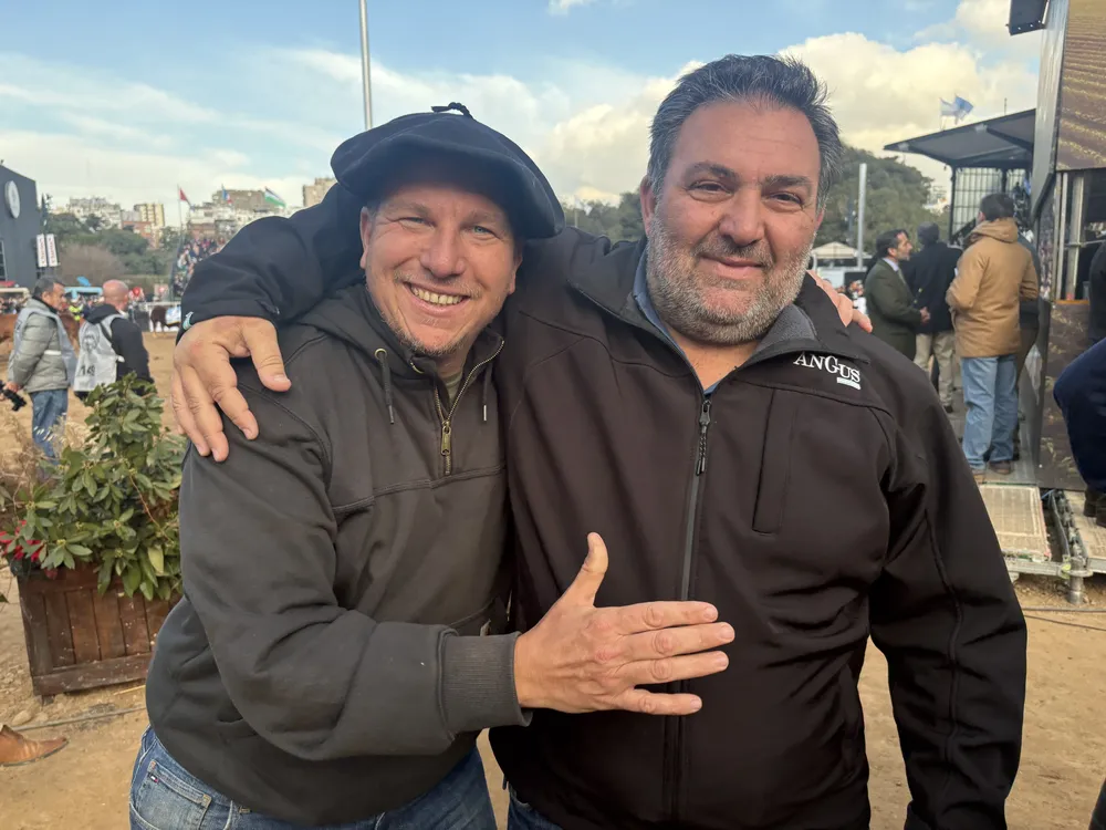 MAXI MAMMOLITI