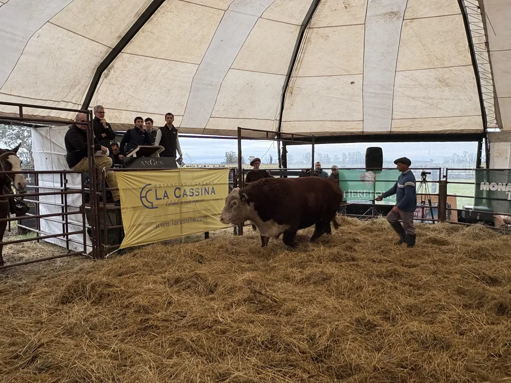 JORGE RODRIGUEZ - MONASTERIO TATTERSALL