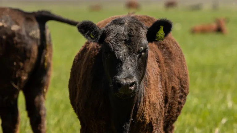 WhatsApp Image 2025-10-01 at 8.33.54 AM