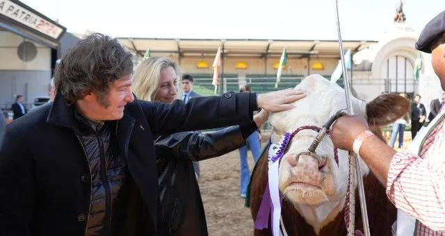 GRAN-CAMPEON-MACHO-HEREFORD-EXPO-DEL-CENTENARIO-640x340