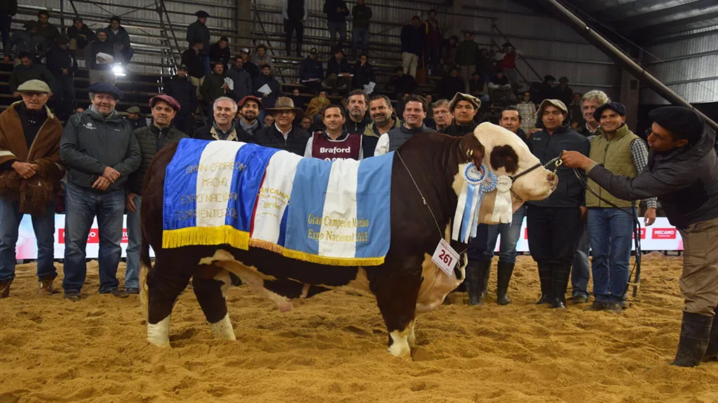 Gran-Campeon-Macho-Cabana-Santa-Irene