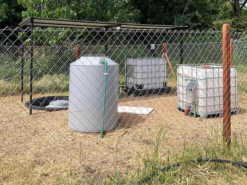 20241220_filtro-biologico-03