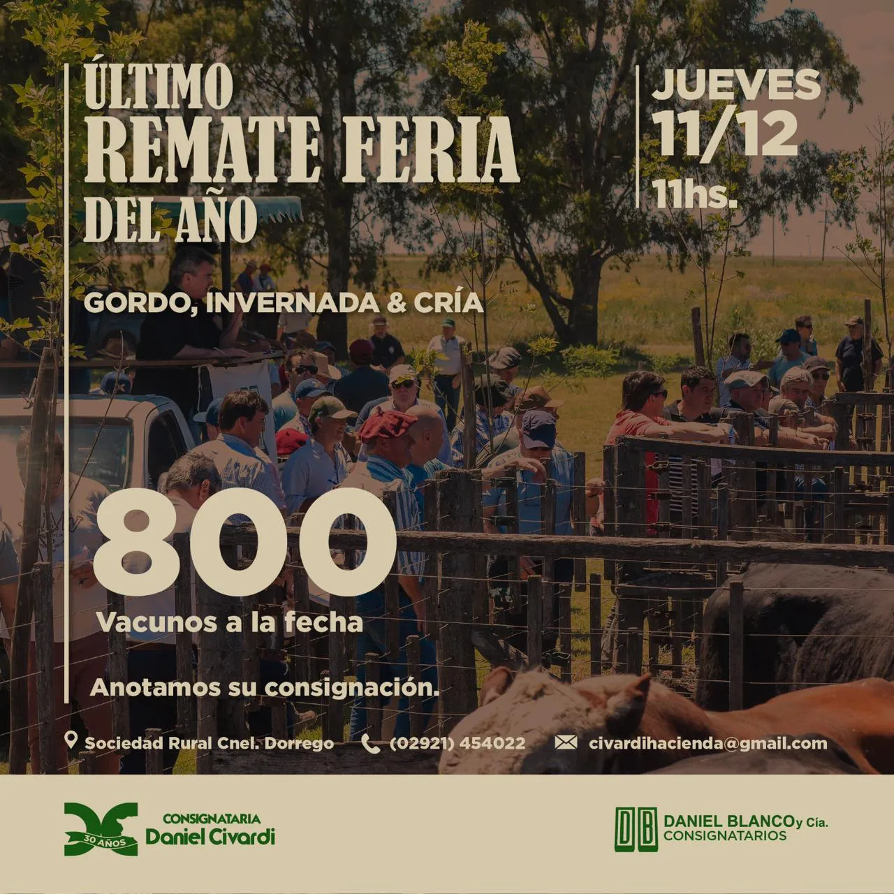 WhatsApp Image 2025-12-02 at 5.46.09 PM