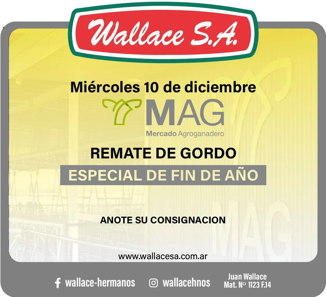 WhatsApp Image 2025-12-02 at 11.16.42 AM