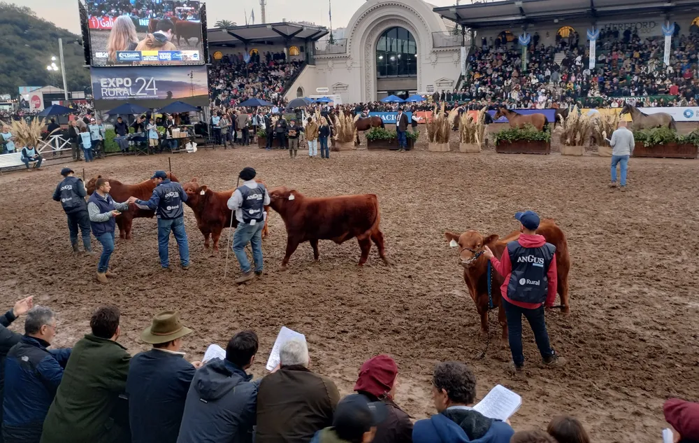 IMG_20240724_174658049_HDR