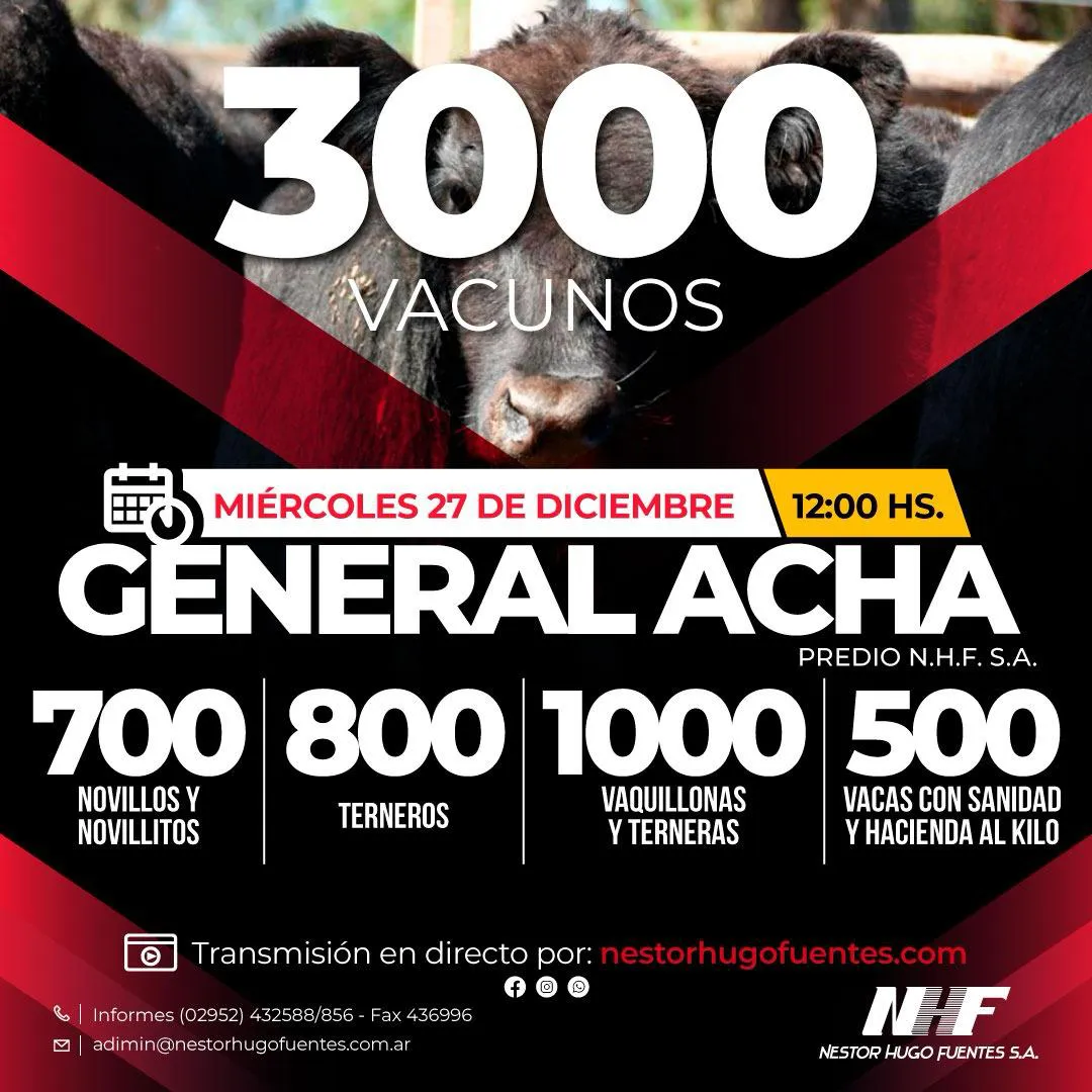 ACHA 27 DIC