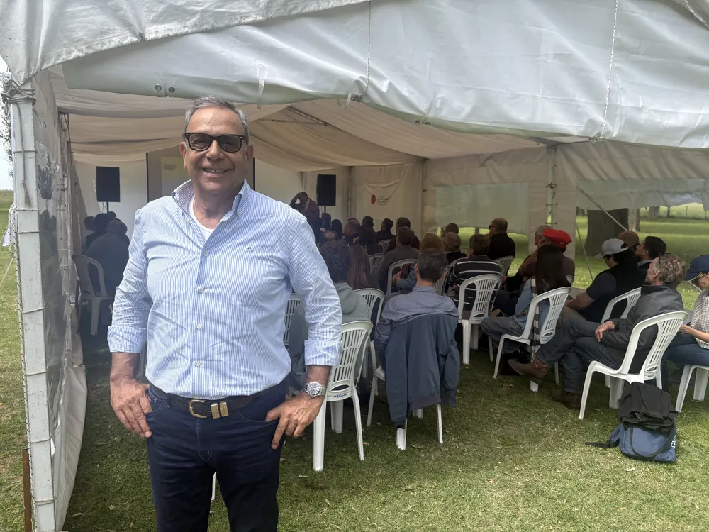 JAVIER PICCO - CABAÑA LA TRINIDAD - SHORTHORN