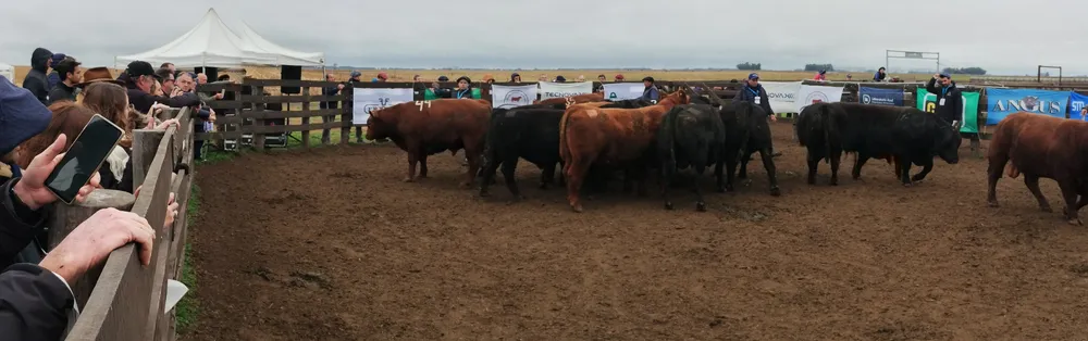 IMG_20240806_122603078