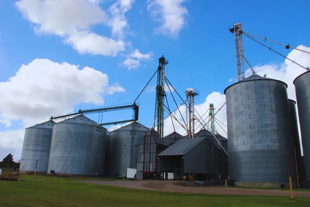 Diseno-sin-titulo-10