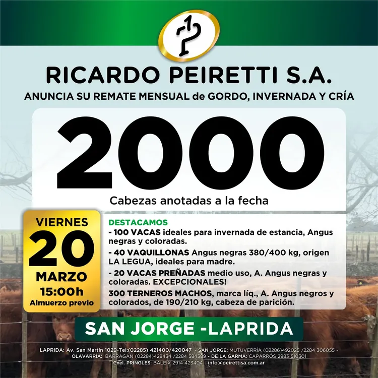 WhatsApp Image 2026-03-12 at 10.31.59 AM