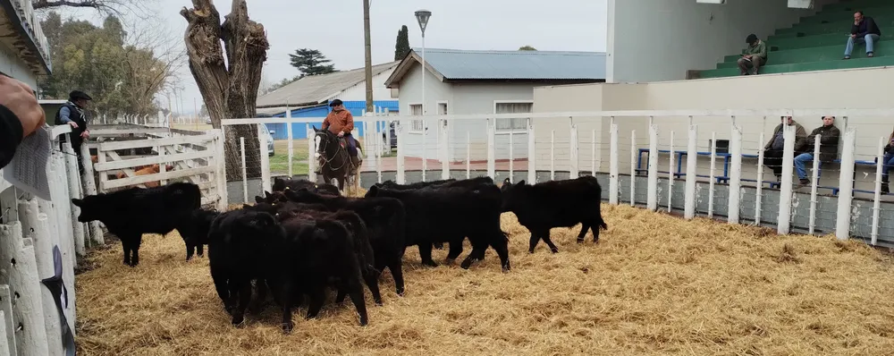 IMG_20240731_123533119